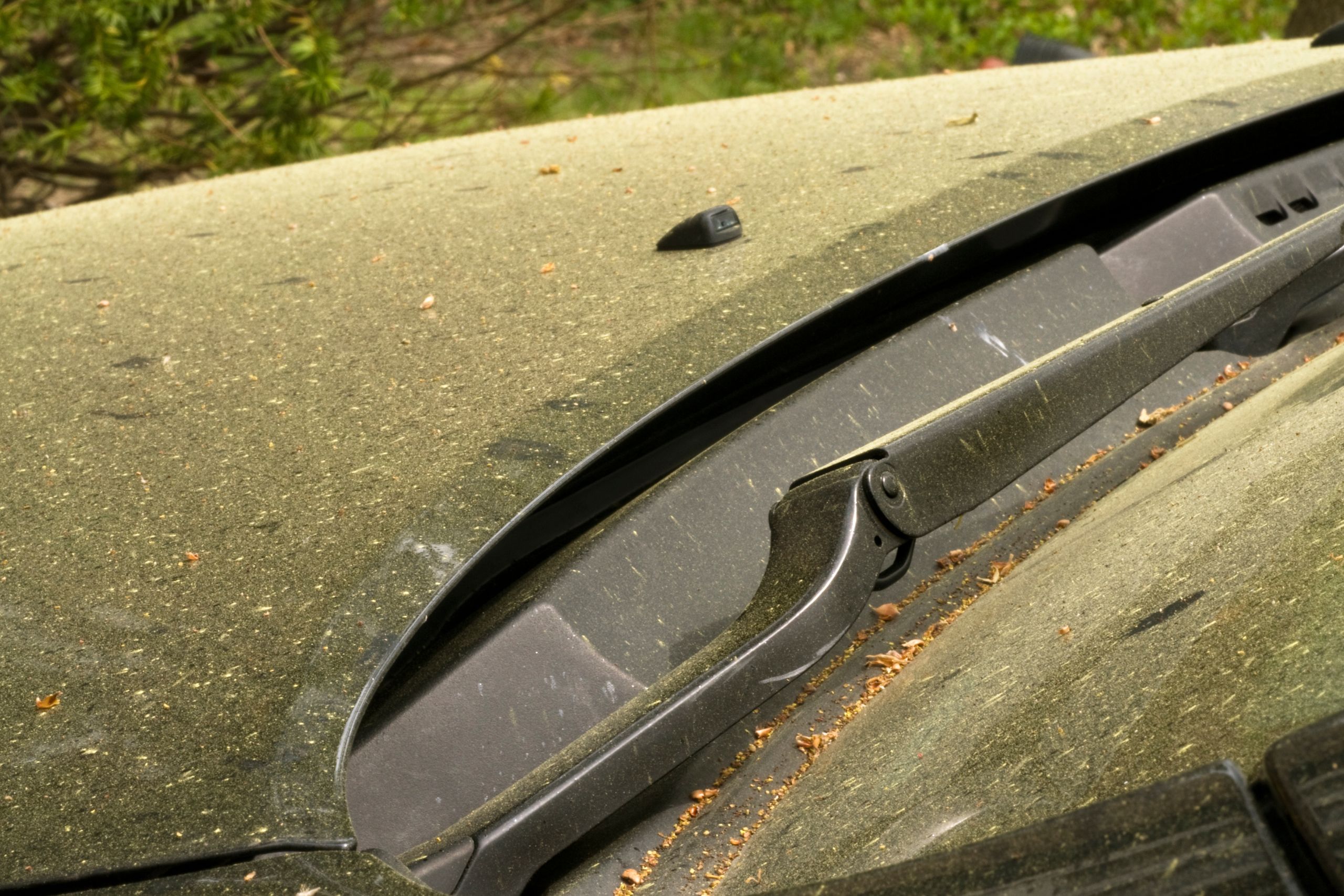 pollen on a vehicle's exterior